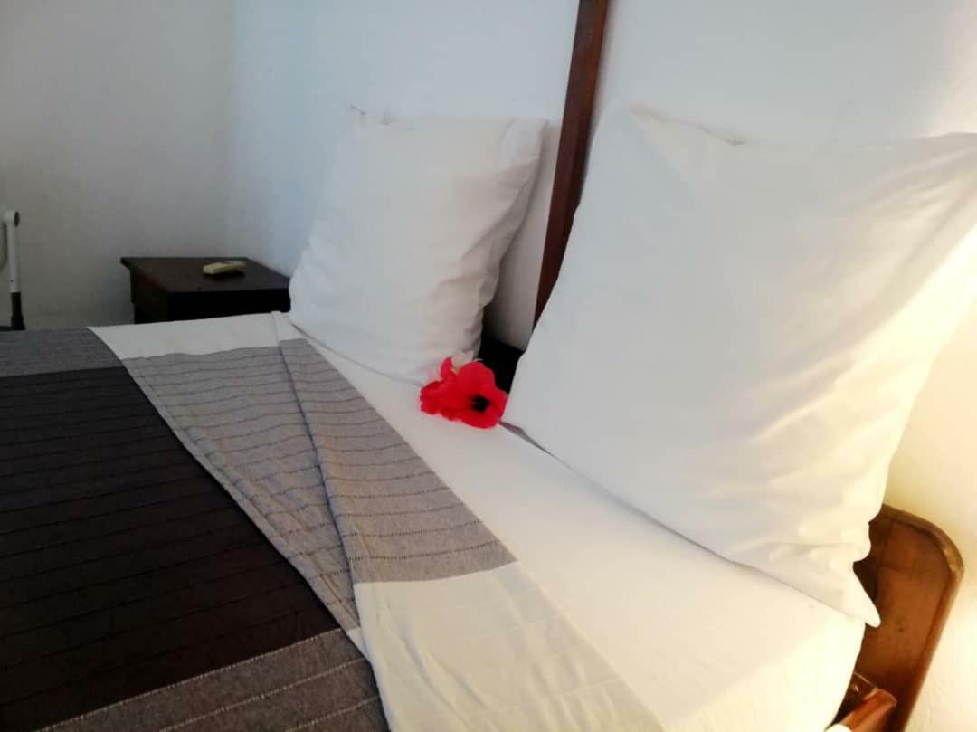 Hotel Jardin De La Paix Moroni Eksteriør bilde